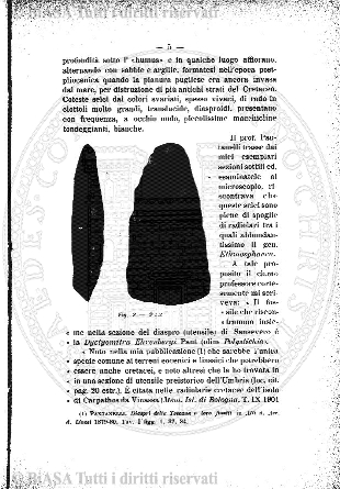 n. 11-12 (1870) - Pagina: 193