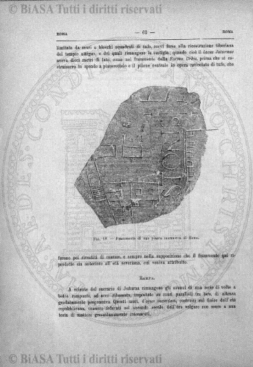 n. 11 (1954) - Copertina: 1