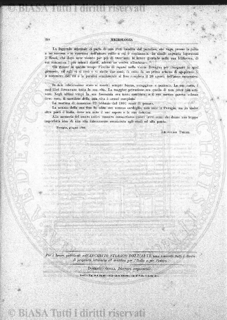 n. 3 (1881) - Pagina: 33