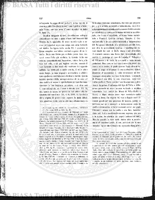s. 3, n. 19 (1902) - Pagina: 133 e sommario