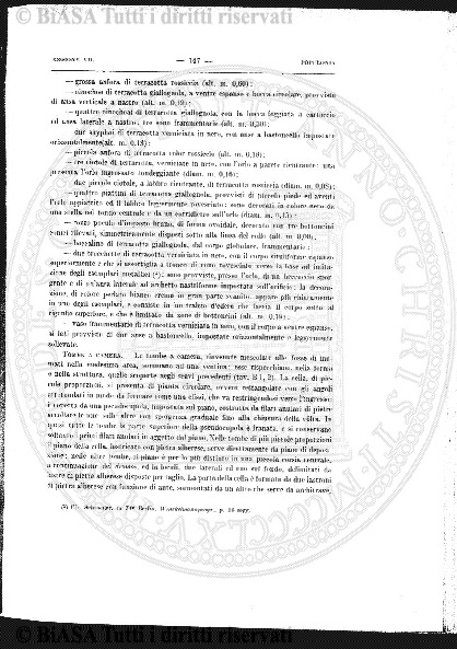 n. 4-5-6 (1923) - Pagina: 117