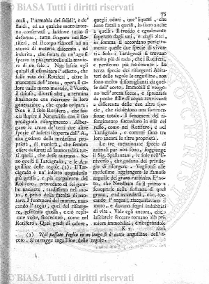n. 12 (1914) - Copertina: 1