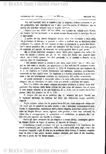 n. 3 (1860) - Pagina: 33