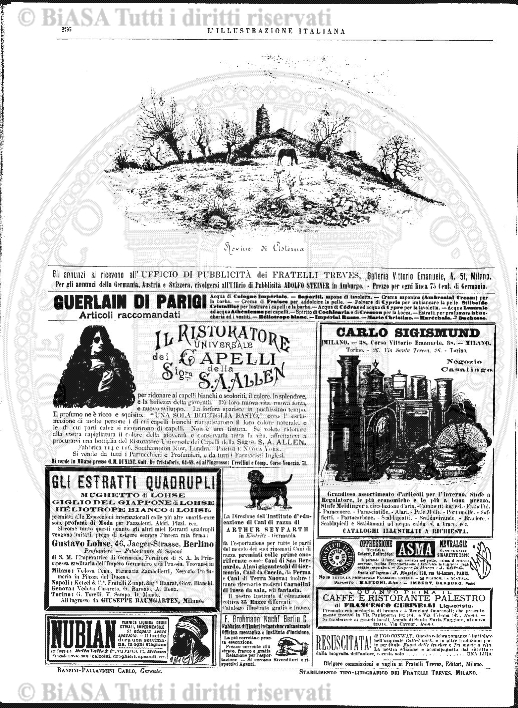 n. 7 (1911) - Copertina: 1