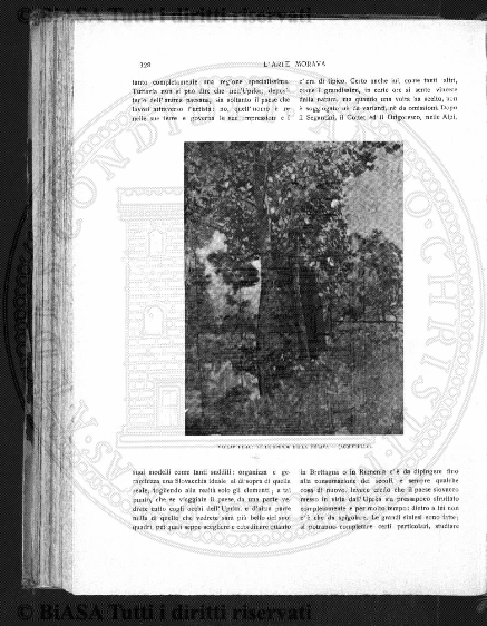 v. 23, parte 2 (1905) - Occhietto