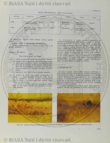 n. 24 (1843-1844) - Pagina: 49