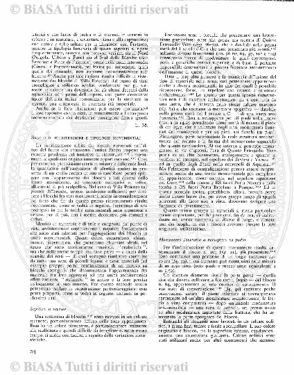 s. 3, n. 17 (1894) - Pagina: 257