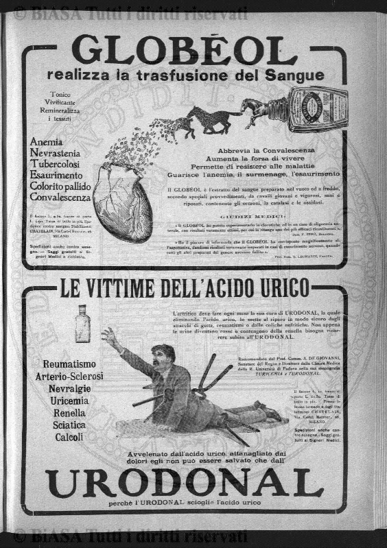 n. 5 (1956) - Pagina: 129