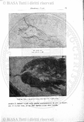 s. 3, n. 21-22 (1902) - Pagina: 149 e sommario