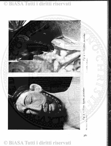 n. 9-10 (1832) - Pagina: 177
