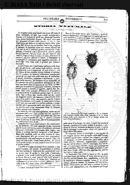 n. 47 (1844-1845) - Pagina: 89