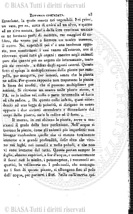v. 1, n. 7 (1866) - Pagina: 137