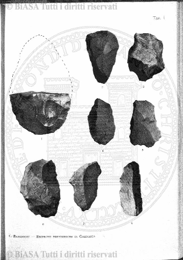 n. 11-12 (1874) - Pagina: 257
