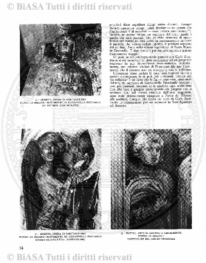 s. 2, v. 6, n. 2 (1871) - Pagina: 33