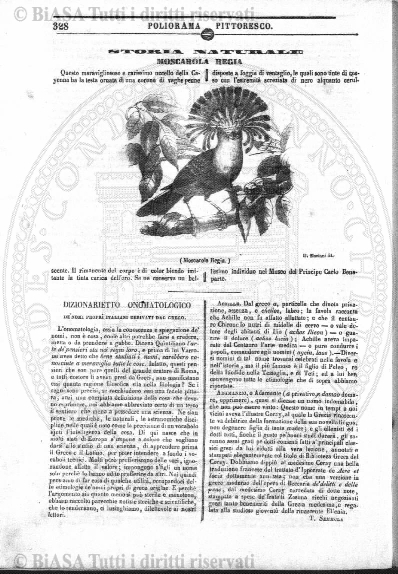 v. 14, n. 38 (1787-1788) - Pagina: 297