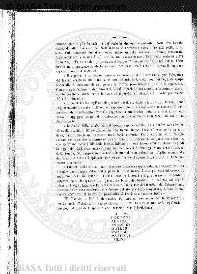 s. 2, v. 8 (1876-1877) - Tavola fuori testo