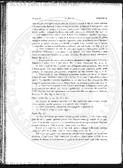 n. 6 (1842) - Pagina: 81