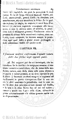 n. 5 (1919) - Pagina: 33