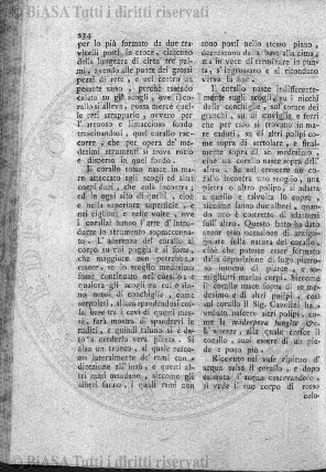 n. 25 (1901) - Frontespizio
