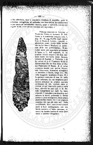 n. 4 (1865) - Pagina: 81
