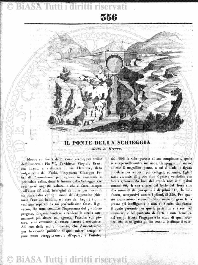 n. 22 (1881) - Frontespizio