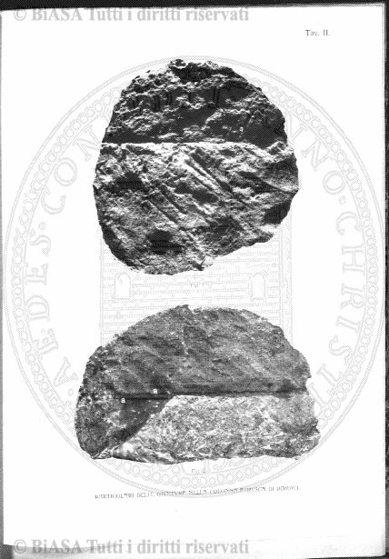 s. 3, n. 8 (1901) - Pagina: 45 e sommario