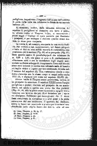 n. 40 (1884) - Pagina: 313 e sommario