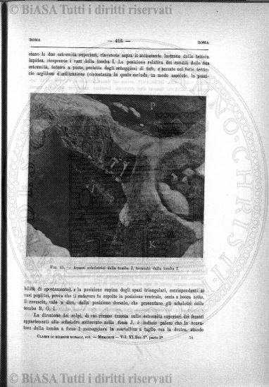 n. 5 (1902) - Copertina: 1 e sommario