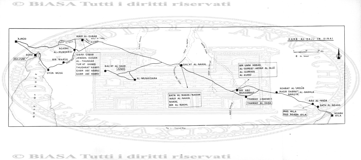 v. 9, n. 30 (1782-1783) - Pagina: 243