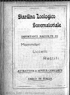n. 2 (1880) - Pagina: 3