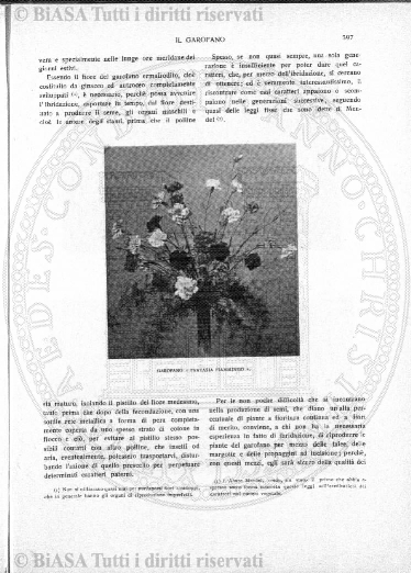 s. 4, n. 9 (1886) - Sommario: p. 129