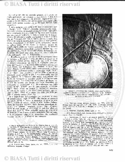 v. 1, n. 37 (1774-1775) - Pagina: 289