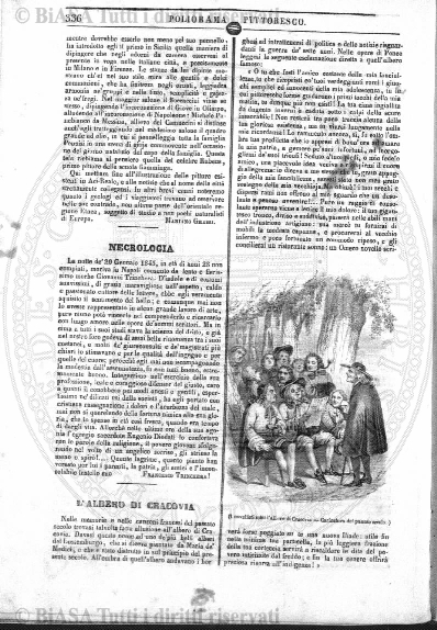 v. 9, n. 4 (1900) - Pagina: 49
