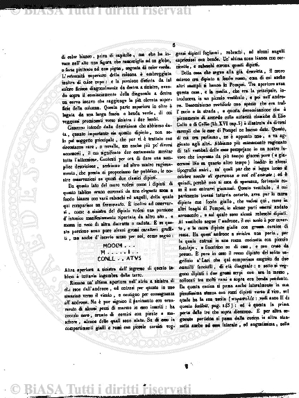 n. 47 (1844-1845) - Pagina: 89
