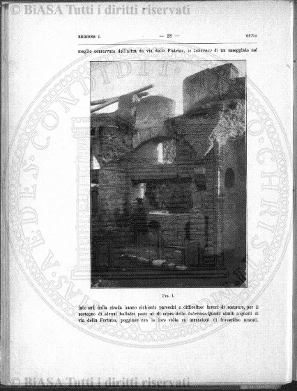 n. 5 (1903) - Pagina: 175