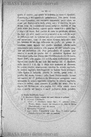 v. 6, n. 7 (1897) - Pagina: 97