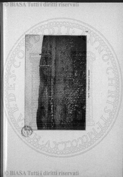 n. 9 (1927-1928) - Pagina: 217 e sommario