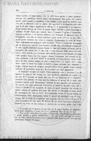 1895 (1895) - Occhietto