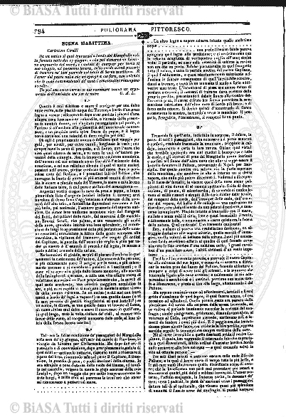 s. 3, n. 13 (1901) - Pagina: 77 e sommario