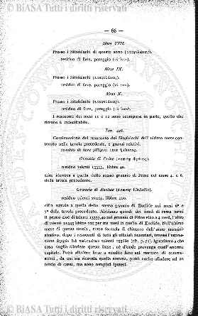 n. 7 (1877) - Frontespizio e sommario