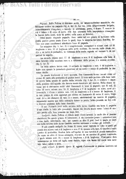 n. 9 (1942) - Copertina: 1