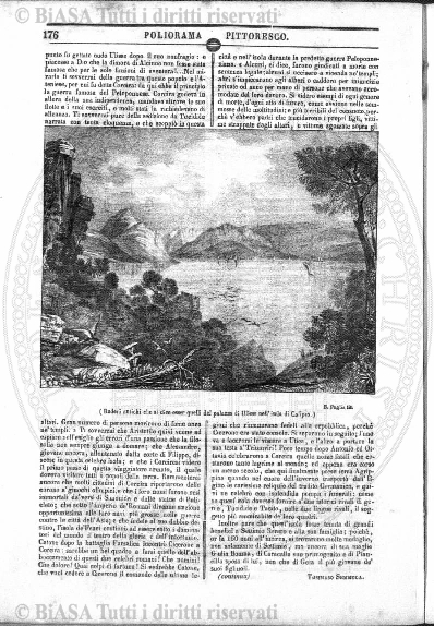 n. 15 (1883) - Frontespizio