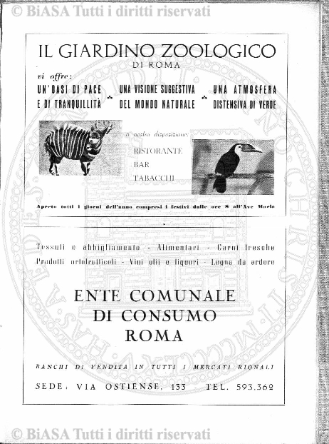 n. 6 (1905-1906) - Pagina: 21