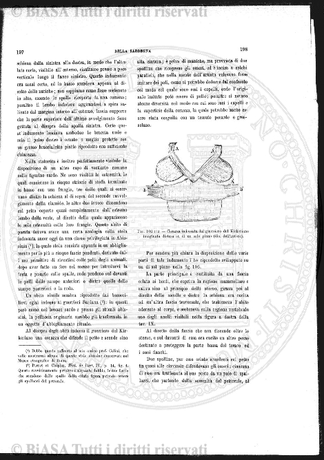 n. 26 (1913) - Frontespizio