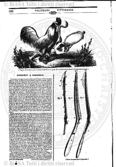 n. 13 (1846-1847) - Pagina: 97
