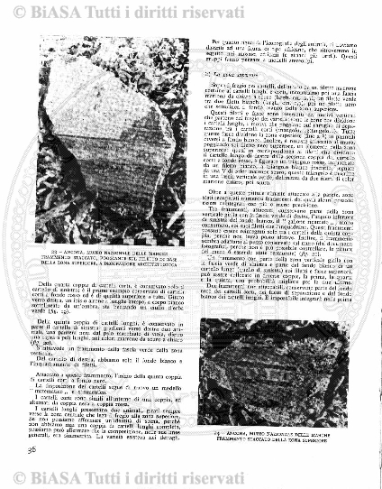 v. 12, n. 36 (1785-1786) - Pagina: 281