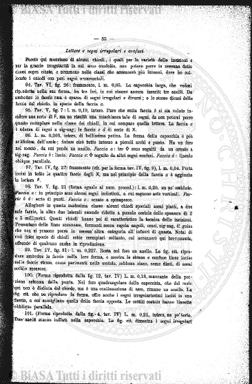 n.s., n. 153 bis (1858-1859) - Pagina: 17