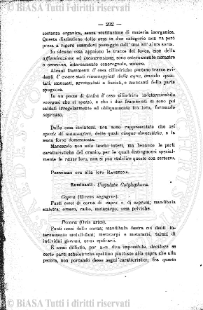 n. 3 (1925-1926) - Pagina: 49 e sommario