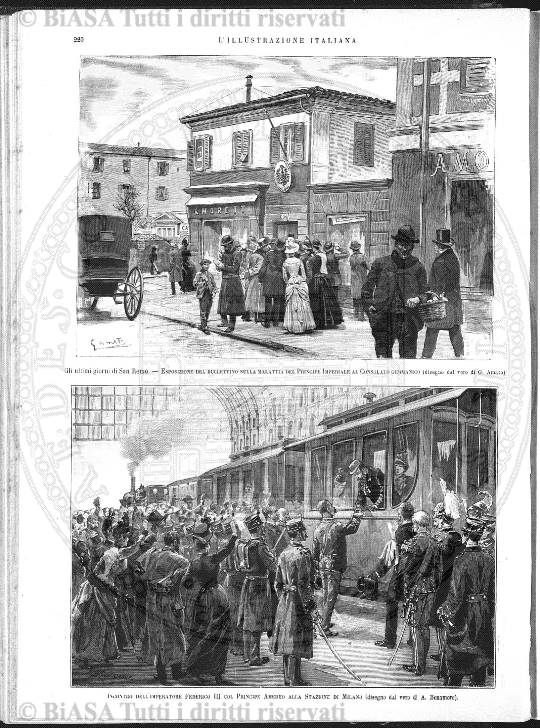 n. 3 (1885) - Pagina: 17 e sommario