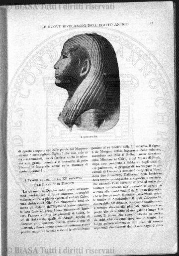 n. 11 (1889) - Frontespizio